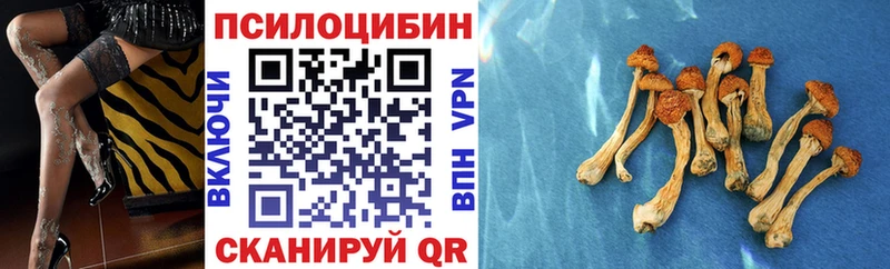 Псилоцибиновые грибы прущие грибы  купить наркоту  Ханты-Мансийск 