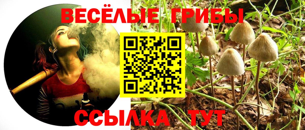 Галлюциногенные грибы Cubensis Ханты-Мансийск