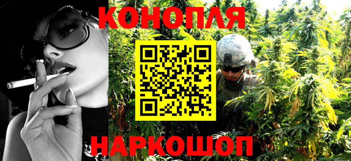 Бошки Шишки планчик Ханты-Мансийск